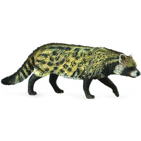 KOT WIWERA CIVET AFRICAN