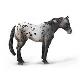 DERESZ APPALOOSA NIEBIESKI