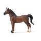 AMERICAN SADDLEBRED STALLION LIVER KASZTANOWY