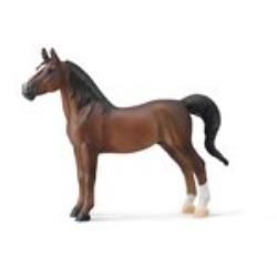 AMERICAN SADDLEBRED STALLION LIVER KASZTANOWY