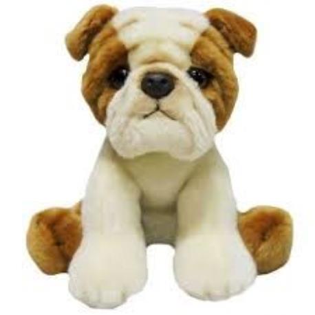 BULDOG 30CM